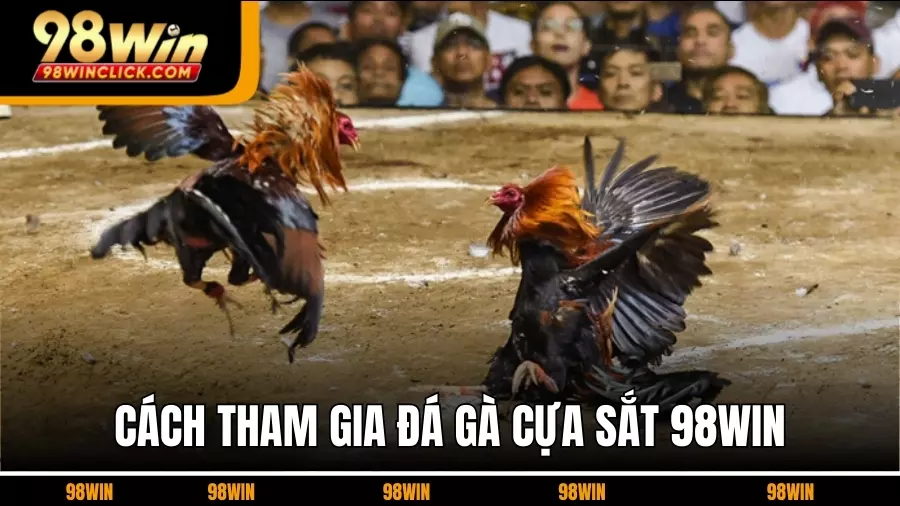 Cách Tham Gia Đá gà cựa sắt Trực Tuyến Tại 98WIN