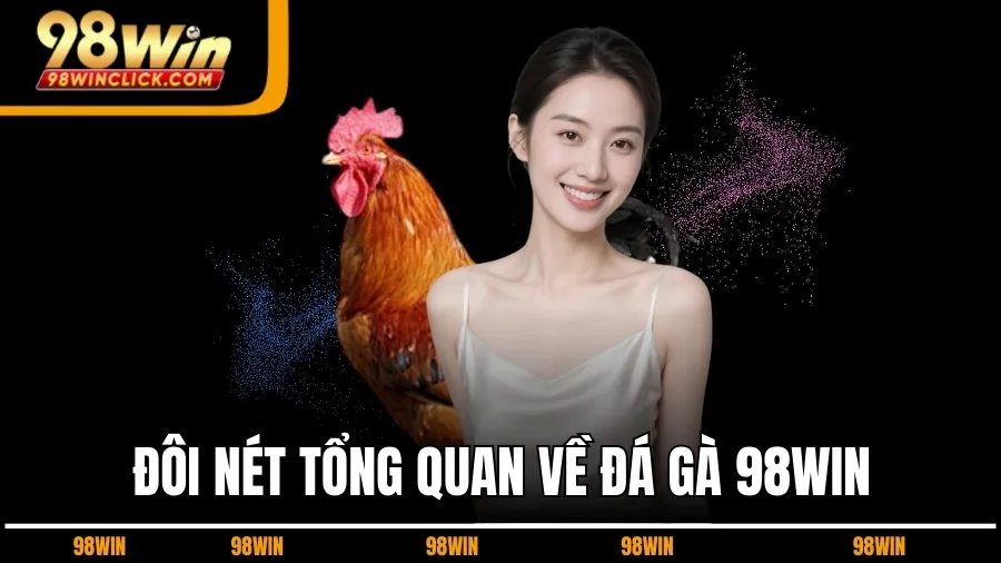 Đôi Nét Tổng Quan Về Đá Gà 98WIN