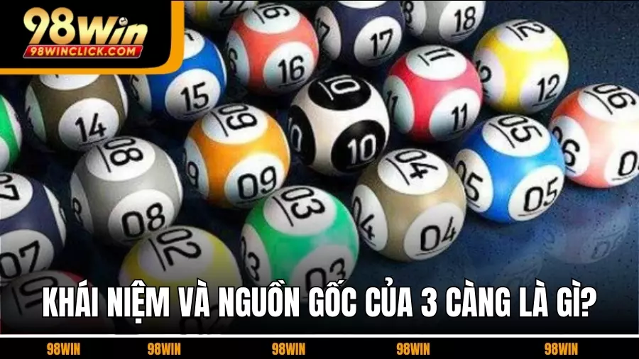 Khái Niệm Và Nguồn Gốc Của 3 Càng Là Gì?
