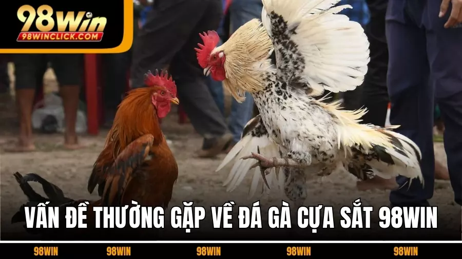 Vấn Đề Thường Gặp Phải Về Đá Gà Cựa Sắt 98WIN